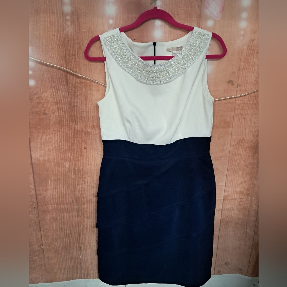 Elegant White and Navy Dress